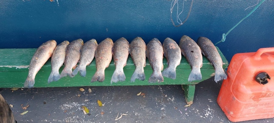 Polícia Ambiental de Coxim realiza prisão por pesca predatória no Rio Taquari