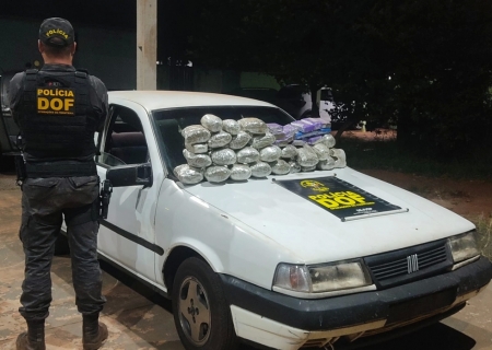 DOF apreende maconha e skunk em fundo falso de veículo que seguia para o Paraná
