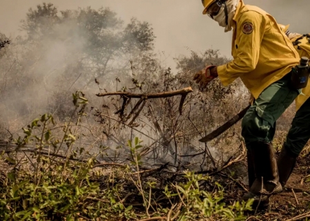 Incêndios no Pantanal já consumiram este ano mais de 15% do bioma
