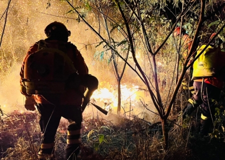 MS tem situação climática extrema e incêndios florestais em todos os biomas