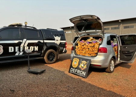 Defron apreende carga de droga avaliada em R$ 2 milhões na fronteira
