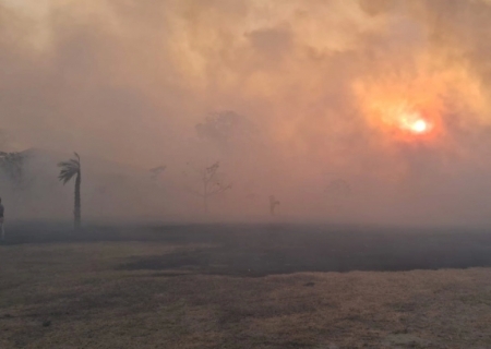 Pantanal tem situação climática severa que intensifica incêndios florestais e oito focos com ações de combate