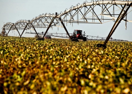Paraguai atrai empresas do agro brasileiro com áreas e clima favoráveis