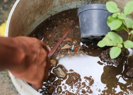 Brasil ultrapassa marca de 5 mil mortes por dengue