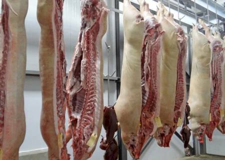 Exportações de carne suína do Brasil têm crescimento de 17,6% neste ano