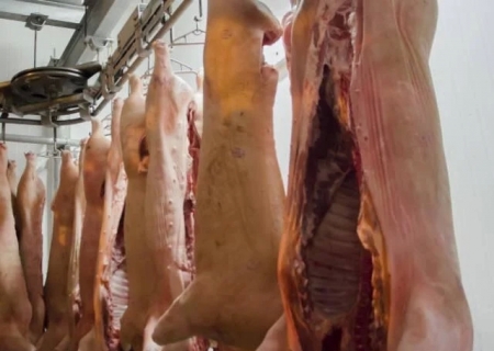 Carne suína: exportações têm novo recorde em julho