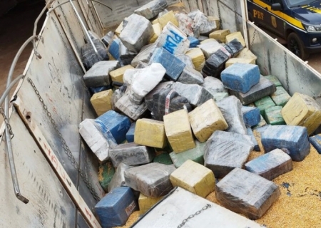 PRF apreende quase 11 toneladas de maconha em Angélica