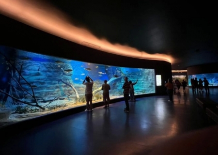 Bioparque Pantanal atrai olhares do mundo e projeta Campo Grande no cenário turístico