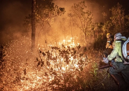 Brasil teve 11,39 milhões de hectares atingidos pelo fogo este ano