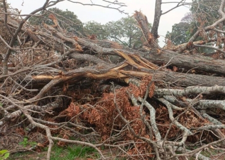 Polícia Ambiental realiza operação em Assentamento Rural e autua 4 propriedades em Nioaque