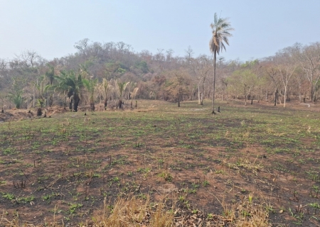 Polícia Ambiental autua proprietário de fazenda por queimar APP em São Gabriel do Oeste