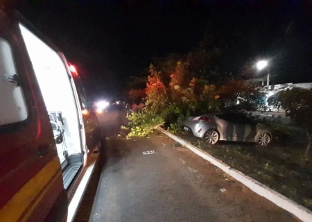 Motorista perde o controle ao passar em lombada e atinge árvore na BR-267, em Nova Porto XV