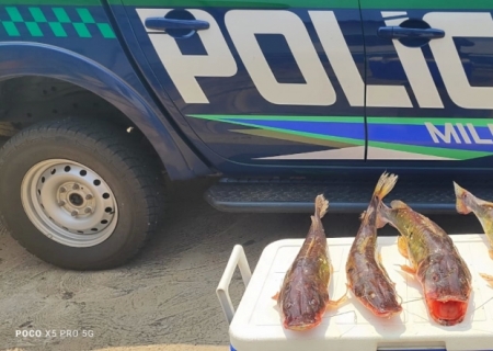 Polícia Ambiental de Águas do Miranda apreende pescado fora da cota permitida