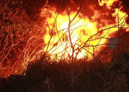 Incêndio de grande proporção atinge duas fazendas em Nova Andradina
