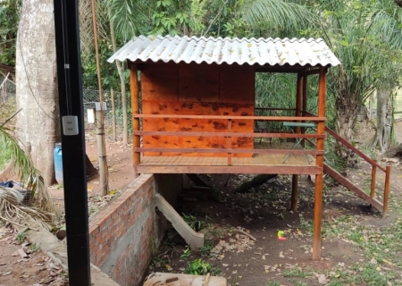 Degradação ambiental em área de preservação permanente resulta em autuação no município de Aquidauana