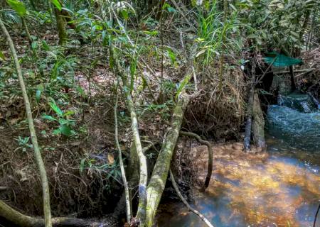 Pesquisa de longo prazo aponta impacto ambiental da agricultura