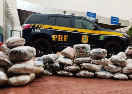 PRF encontra quase 50 kg de skunk em caminhão de mudanças na BR-262