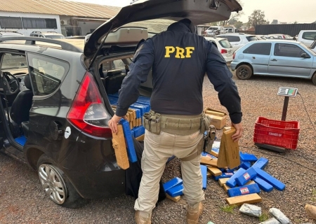 Ação conjunta apreende 1,5 tonelada de maconha e skunk em Campo Grande