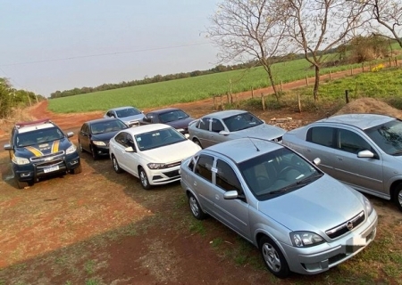 PRF apreende comboio de sete veículos com mercadorias estrangeiras em Nova Alvorada do Sul