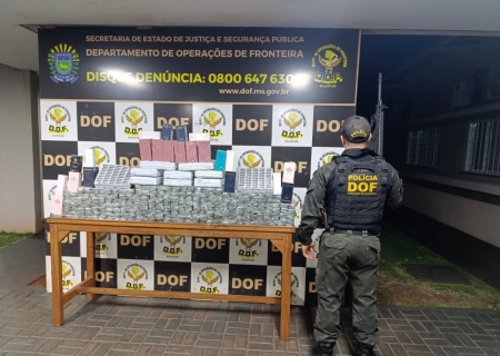 DOF apreende quase R$ 700 mil em mercadorias ilegais em Ponta Porã