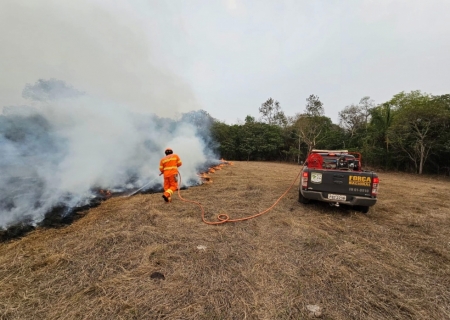Em 12 dias, chuvas acima da média contribuem para controlar focos de incêndios no Pantanal de MS