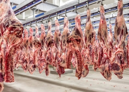 Produção de carnes do Brasil deve crescer 22% em dez anos
