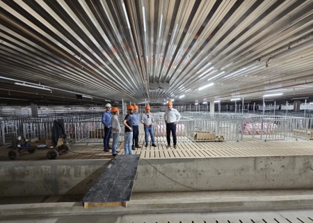 Com bom ambiente de negócios, empresa de genética suína vai inaugurar primeira unidade na Capital