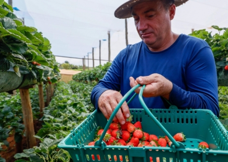 Sancionada lei que beneficia pequenos produtores