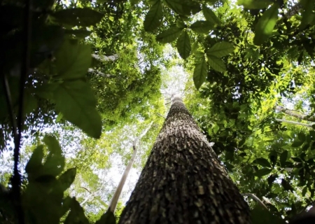 COP29 fecha acordo climático e chefe da ONU critica resultado