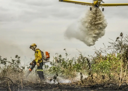 Pantanal: redução da área alagada tem favorecido aumento de incêndios