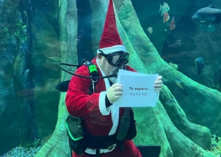Com Papai Noel mergulhador, Bioparque Pantanal anuncia programação especial de dezembro