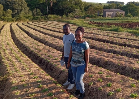 IFMS oferta formação técnica em Agricultura a professores moçambicanos