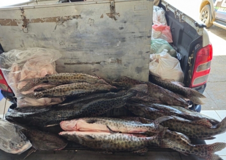 Com fiscalização efetiva, Operação Piracema já apreendeu mais de 400 quilos de pescado em MS