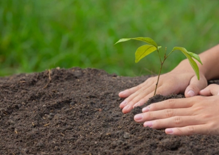 Lei que regulamenta a produção de bioinsumos para uso próprio no Brasil é sancionada