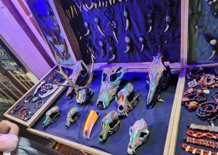 Mulher é presa e recebe multa de R$ 9 mil por comercializar crânios de animais silvestres em Bonito