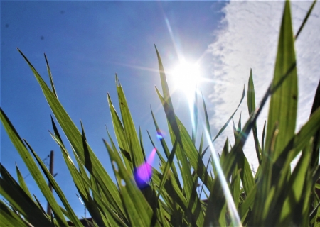 Verão começa hoje e previsão é de menos chuvas na maior parte do país