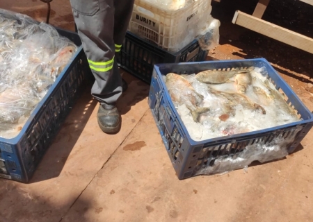 Dono de mercado é preso por expor a venda produtos com larva e carne estragada