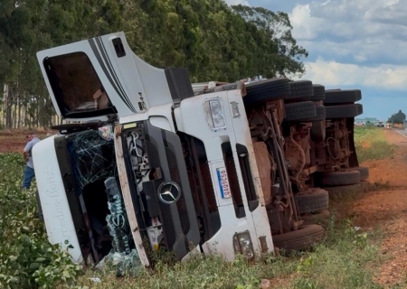 Carreta que transportava gado tomba na MS-134 em Nova Andradina