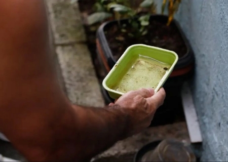 MS divulga primeiros resultados do LIRAa 2025 para enfrentamento à dengue