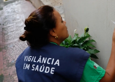 Casos de dengue em 2024 passam de 6,4 milhões; mortes somam 5,9 mil