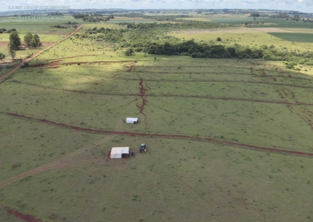 Polícia Militar Ambiental autua três pessoas por dano em área de Reserva Legal em Sidrolândia