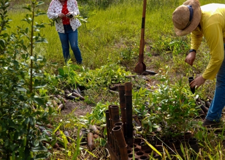 Nova Andradina inicia recuperação de nascentes para fortalecer preservação ambiental
