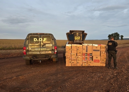 Veículo carregado com produtos ilegais é apreendido pelo DOF no município de Ponta Porã