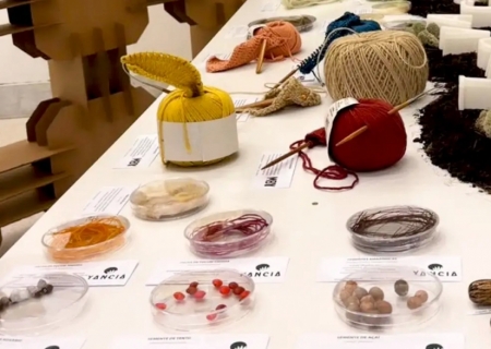 Bioeconomia amazônica: o desafio de gerar renda e conservar a floresta