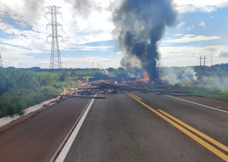 Motorista morre em acidente entre carreta com eucalipto e carro na BR-262