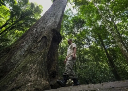 Conabio lança novas metas de conservação da biodiversidade para 2030