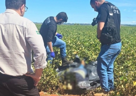 Corpo de homem é encontrado em meio a lavoura de soja em Ponta Porã