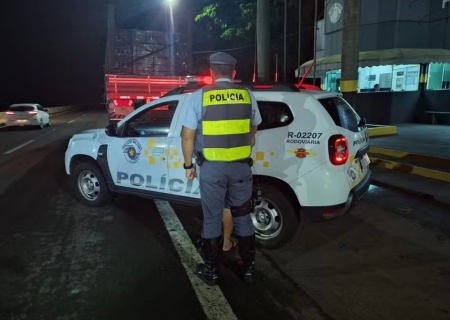 Morador de Campo Grande foragido da Justiça é preso após ser flagrado dirigindo caminhão com CNH falsa, em Presidente Epitácio