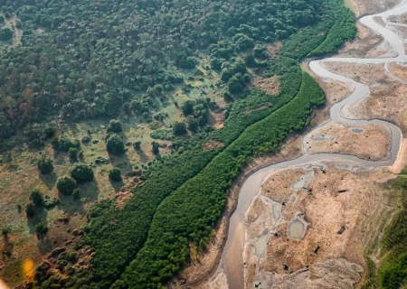 Pesquisa com bactérias na Amazônia pode desenvolver novos medicamentos