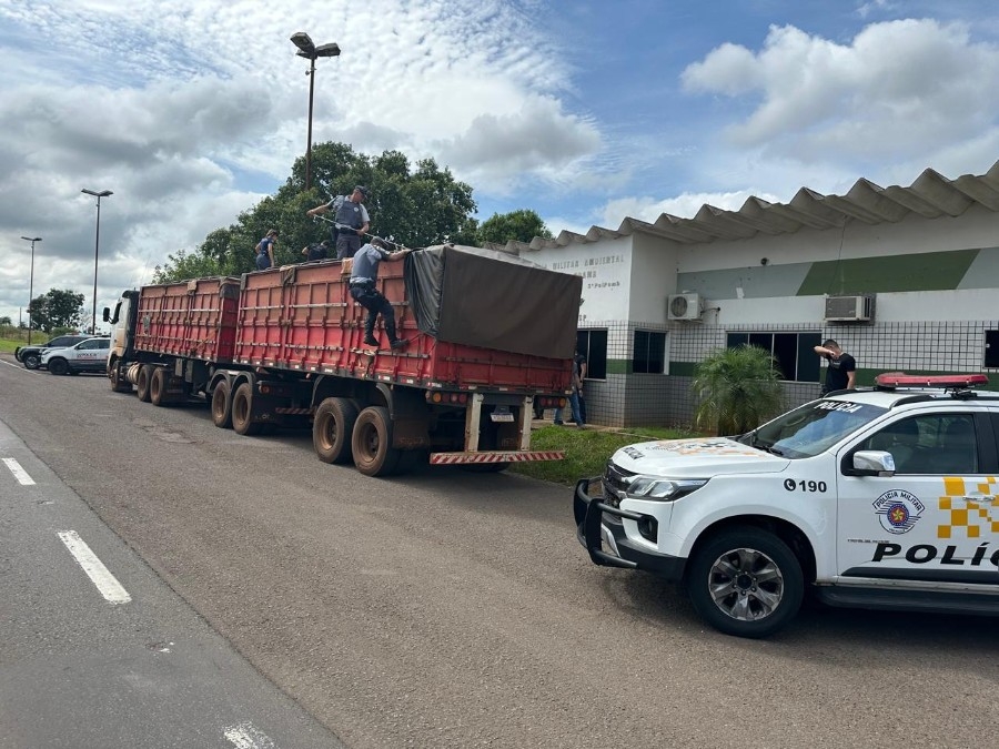 Operação conjunta das polícias resulta na apreensão de quase 700 kg de drogas em Rosana